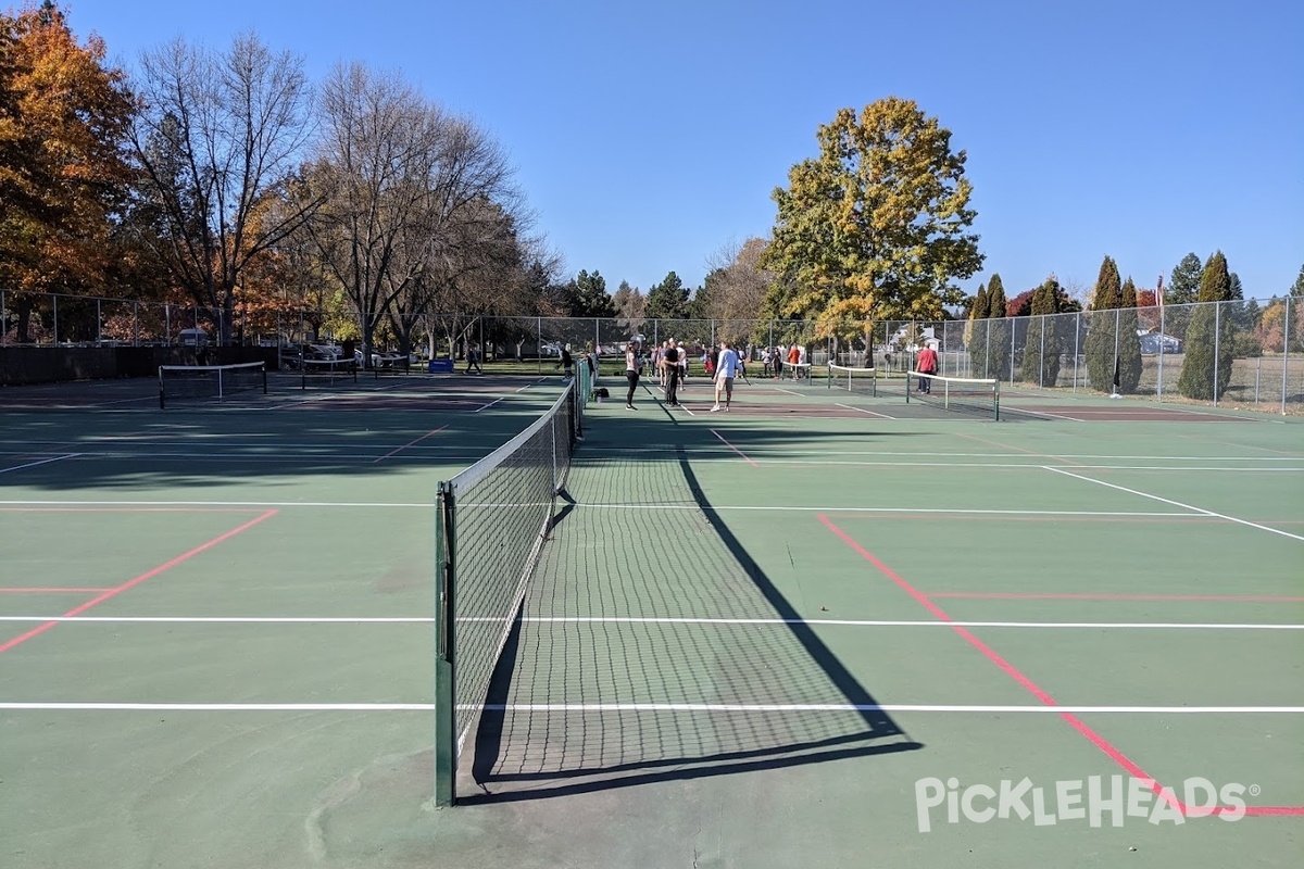 Photo of Pickleball at Atlas / Northshire Park